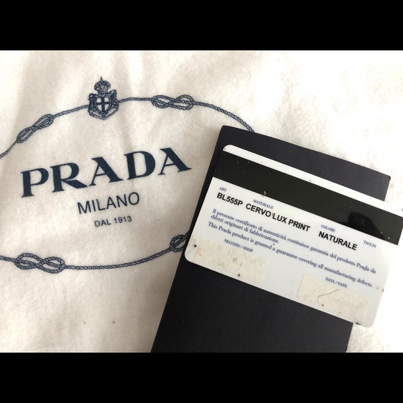 Authentic Prada Natural Snake Print Cervo Luxe Bag - Picture 6 of 6